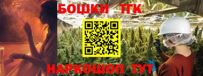 гидра Заводоуковск