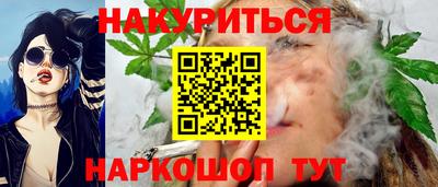 гидра Заводоуковск