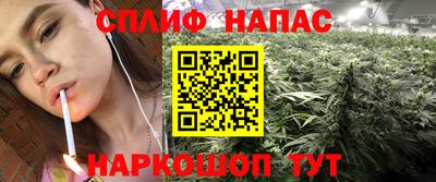 гидра Заводоуковск