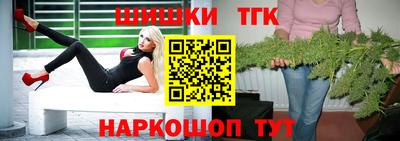 гидра Заводоуковск