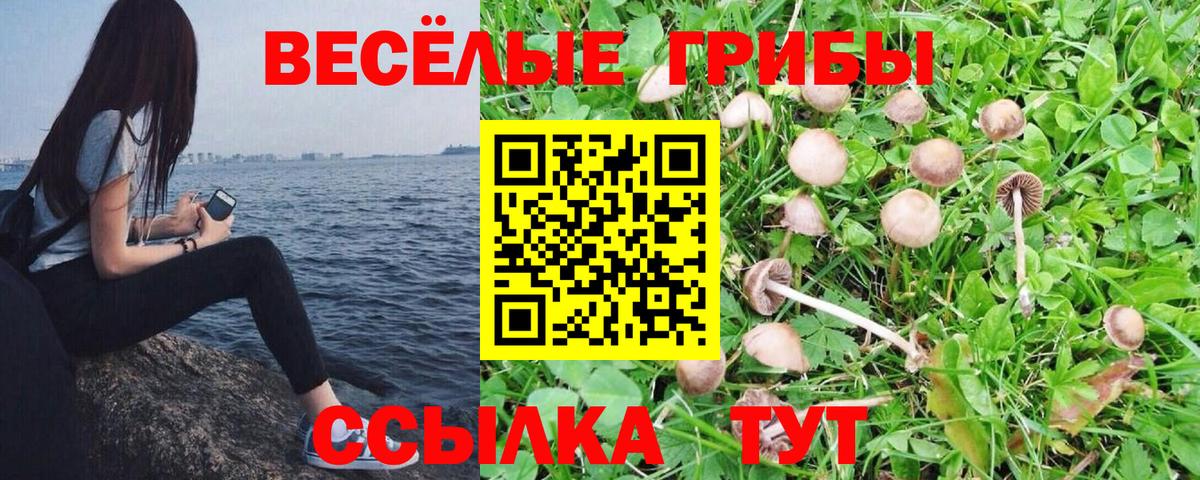 Уссурийск  Псилоцибиновые грибы прущие грибы  Галлюциногенные грибы GOLDEN TEACHER  Вход с VPN 